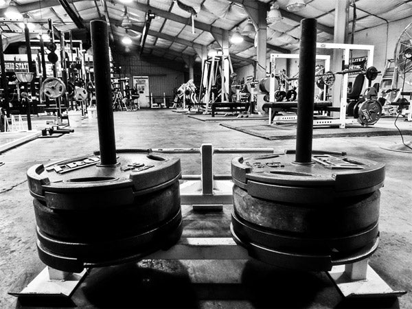 Prowler sprints