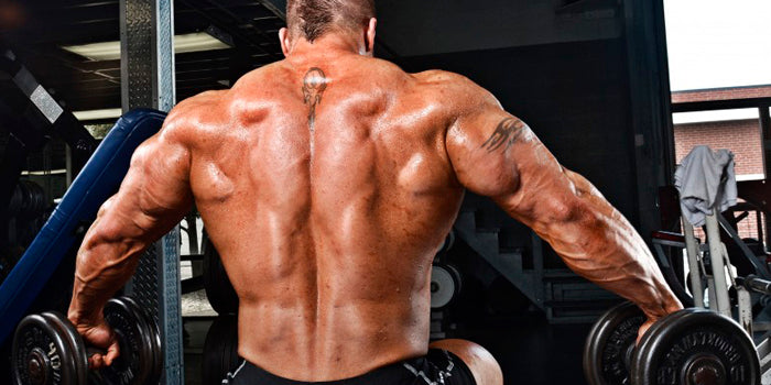 big back working out