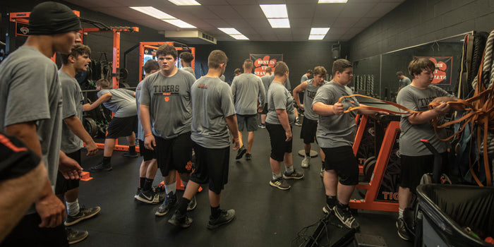 A Useful Coach: The Horse, The Water, and What People Miss