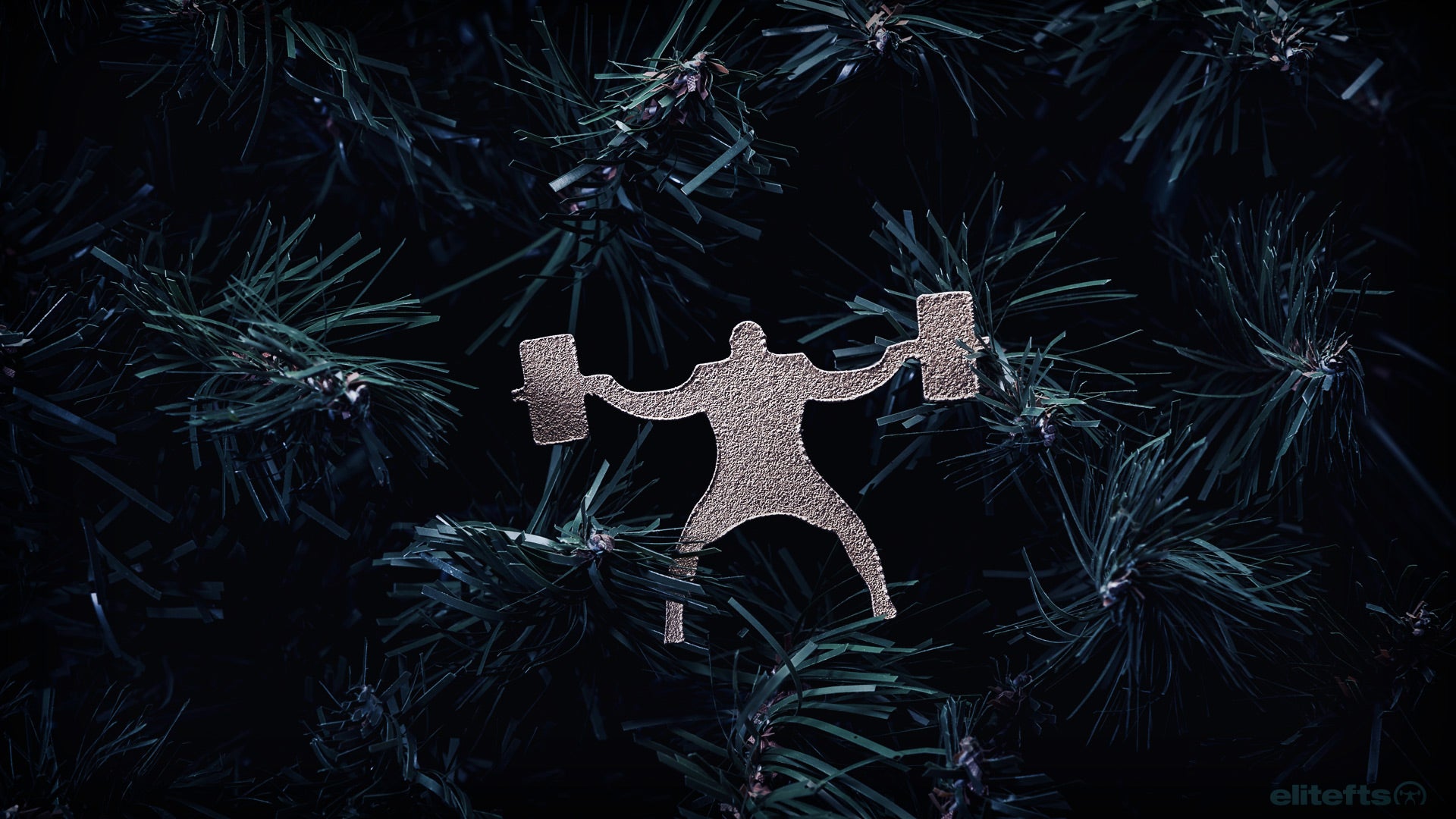 Straight Bar Squats 12.16.17