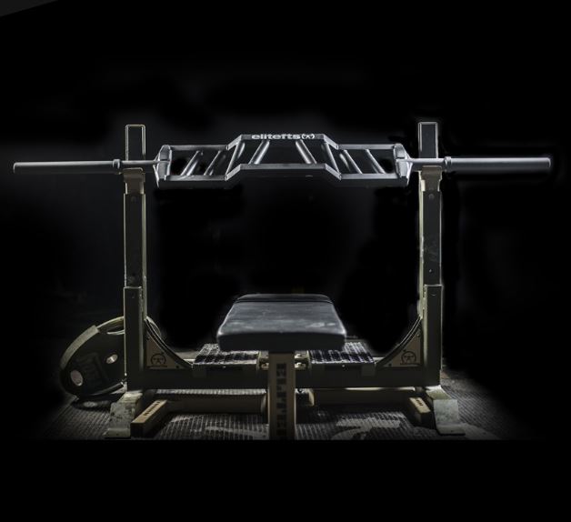 DE Squat