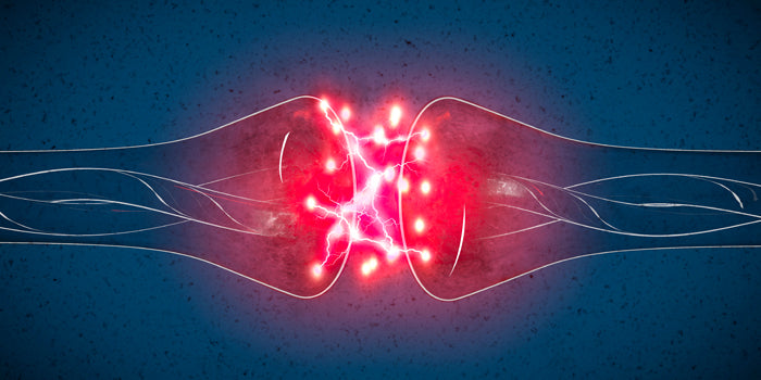 The Mind-Muscle Link