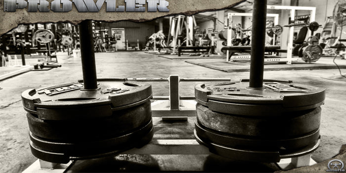 The Pyramids of Giza: A Prowler Challenge