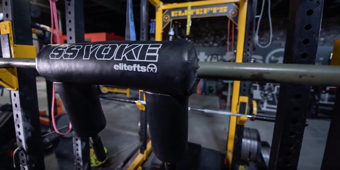 SS Yoke Bar Squats