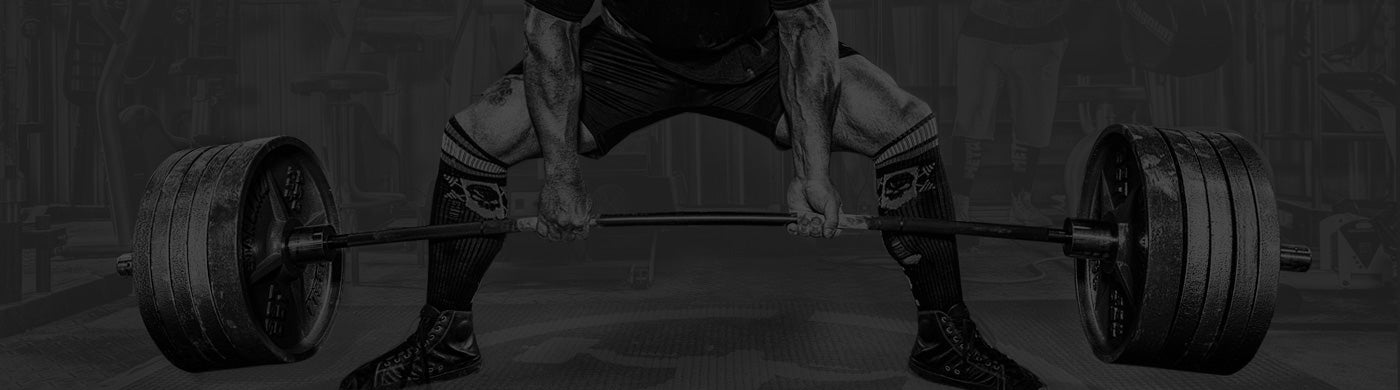 elitefts training log