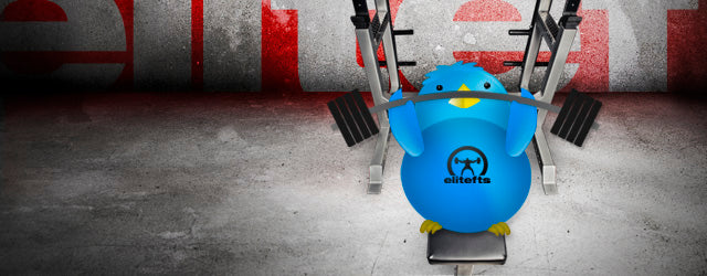 Week 15 / Day 4 - Upper Training - Heavy Day w/ video