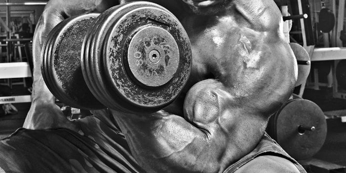 Bodybuilding Day: Back and Bi's