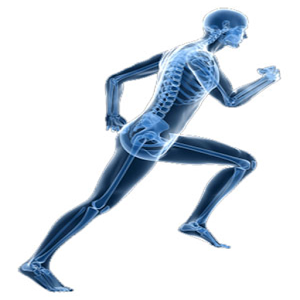 Released From Physiotherapy Today !