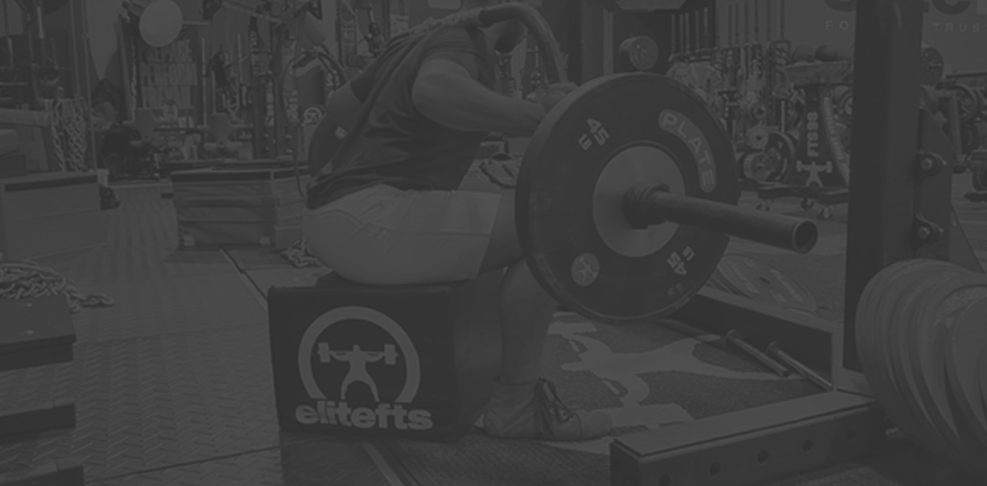 Box squat Picture