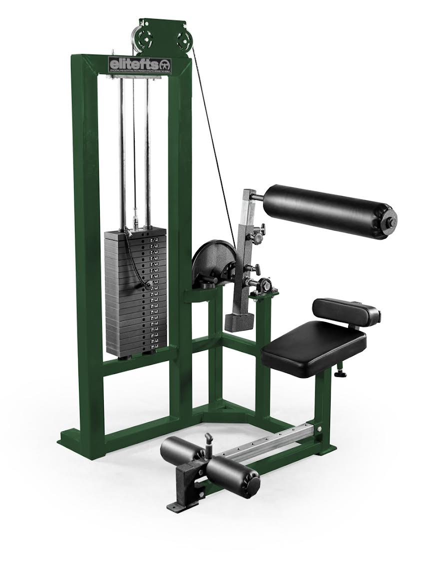 elitefts  Low Back Machine - Selectorized