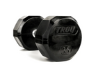 12 Sided Rubber Dumbbell