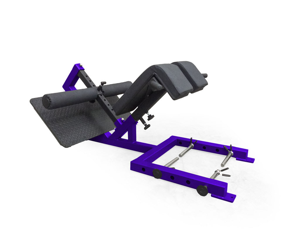 elitefts Professional 45 Degree Back Raise – EliteFTS