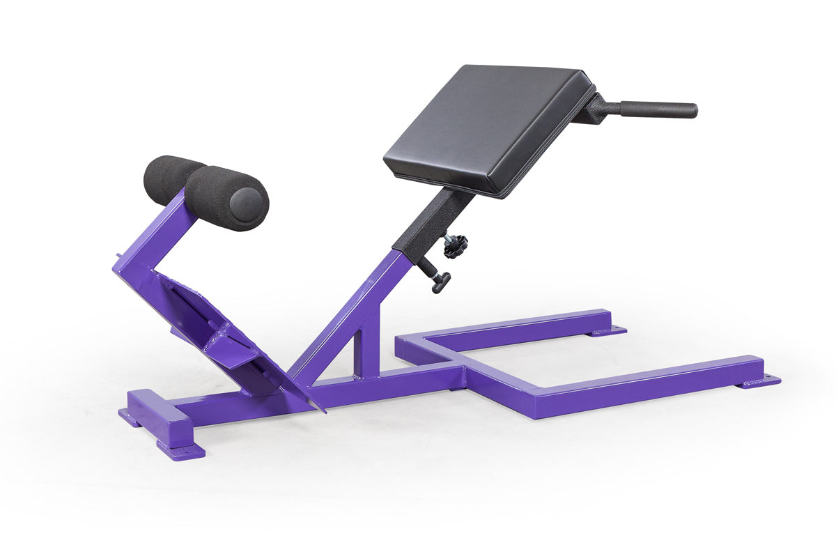 Elitefts Scholastic 45 Degree Back Raise
