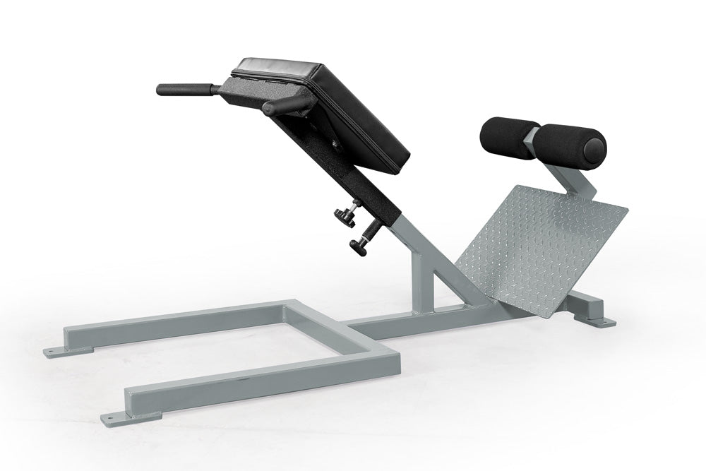 elitefts Scholastic 45 Degree Back Raise