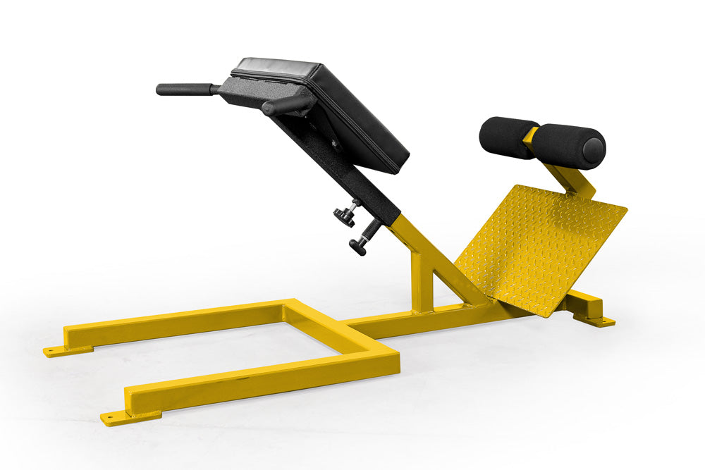 elitefts Scholastic 45 Degree Back Raise – EliteFTS