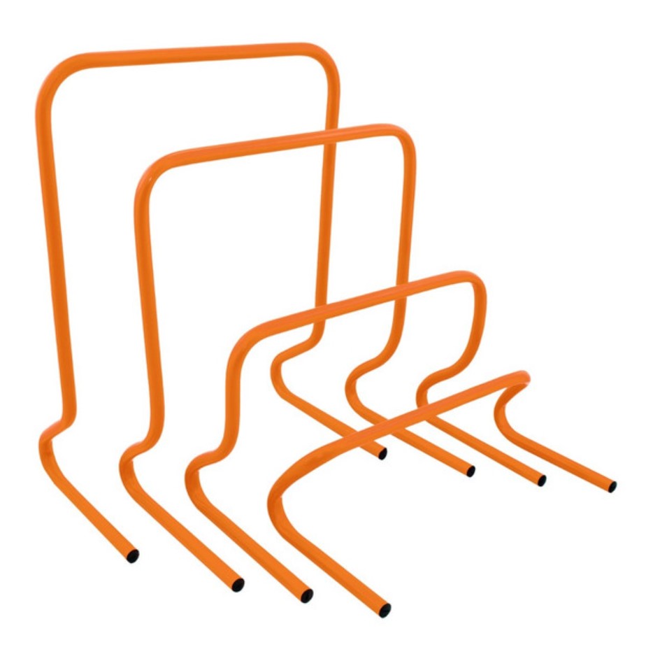 picture of PowerMax Step Hurdles