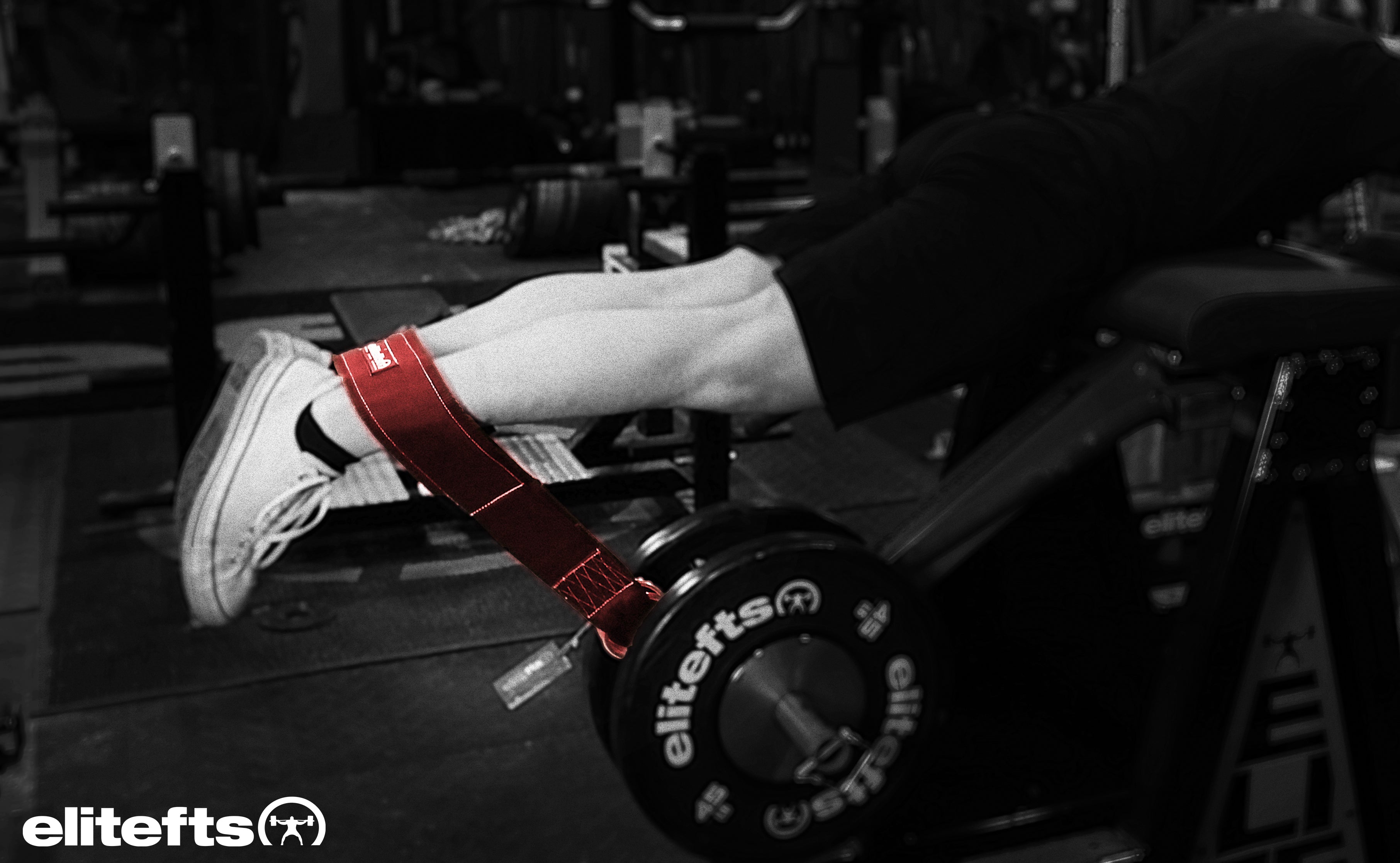 picture of elitefts Nylon Ring Belt used for lifting weights