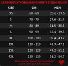 Cerberus Strongman Shorts V2 Black size chart
