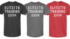 picture  of elitefts Training 1998 Premium T-Shirts