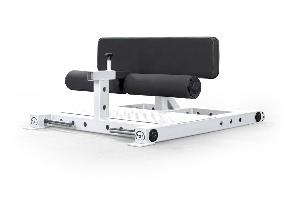 elitefts Multi Squat Hip Extension