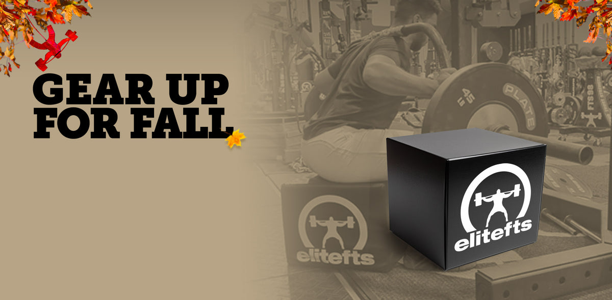 squat box sale