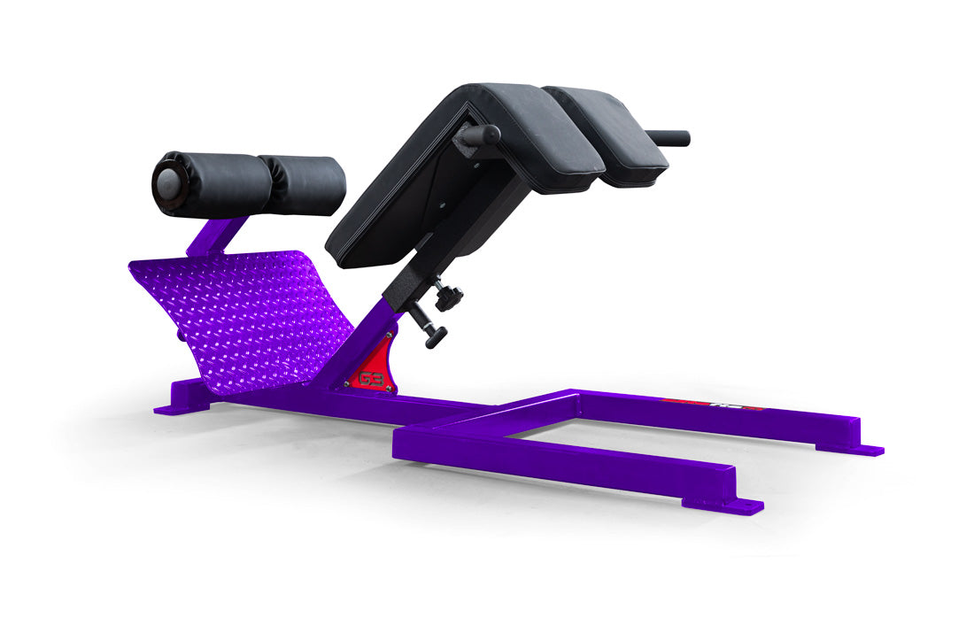 elitefts G3 45 Degree Back Raise – EliteFTS