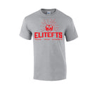 picture of EliteFTS Skull t-shirt grey