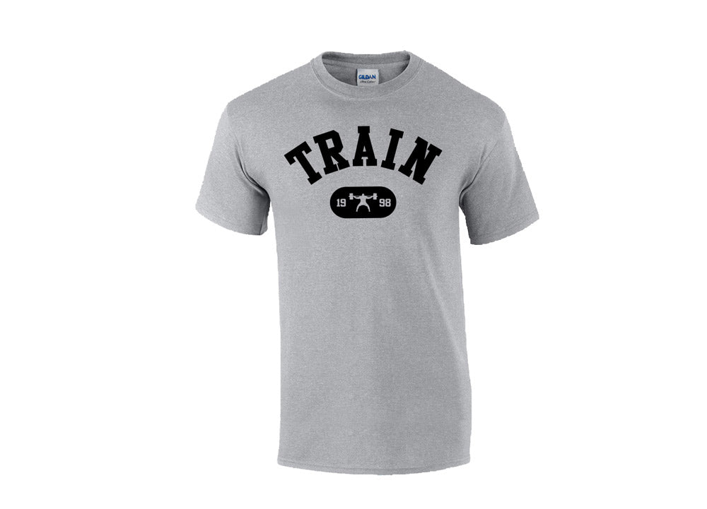 picture of elitefts Train Arch T-Shirt grey
