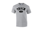picture of elitefts Train Arch T-Shirt grey