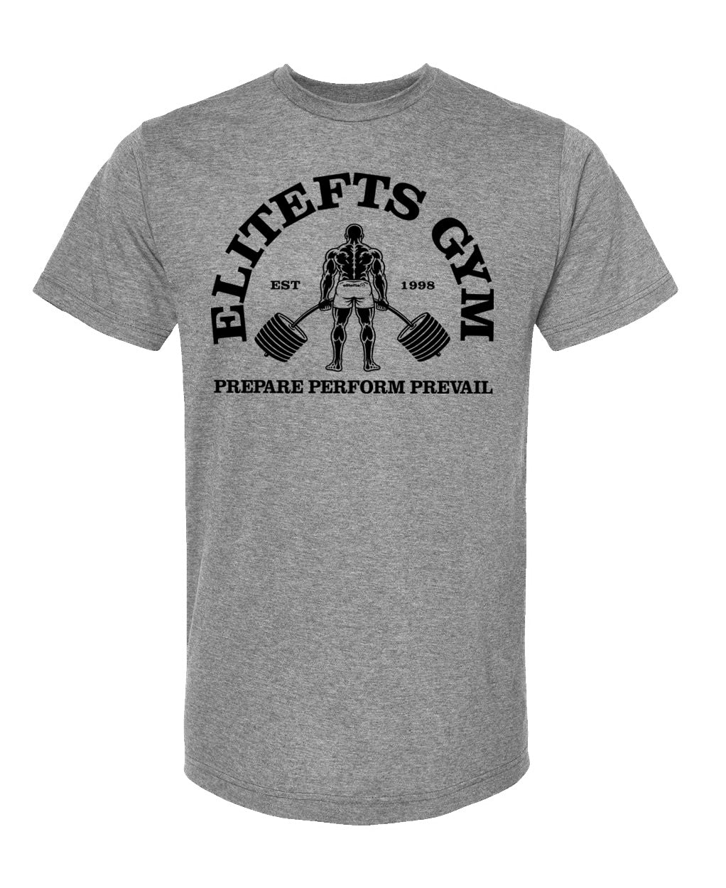 picture of elitefts Gym Shirt Premium T-Shirt grey