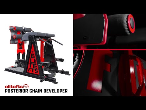 elitefts Posterior Chain Developer-all-groups