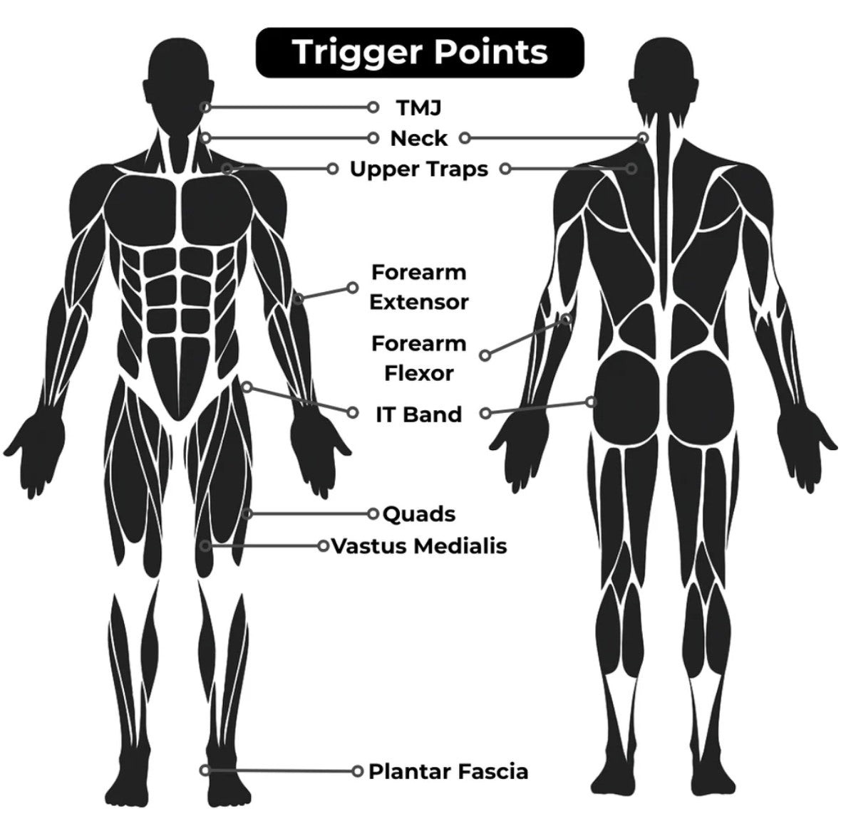The Original Stick-The Intruder chart showing what trigger points to use the intruder on