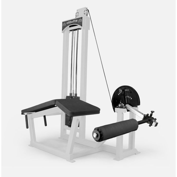 elitefts  Deluxe Lying Leg Curl - Selectorized