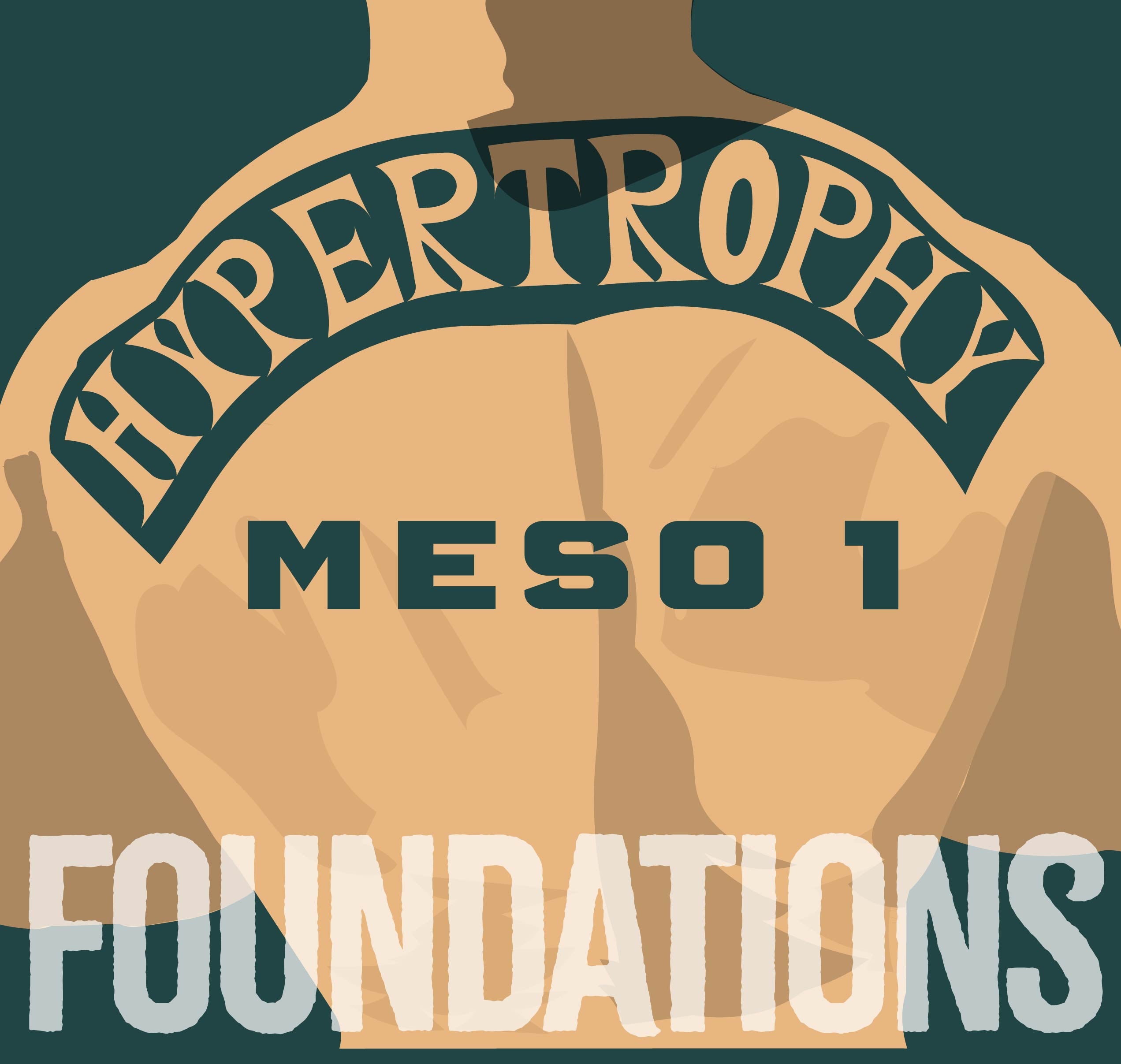 SWEDE HYPERTROPHY MESO 1 