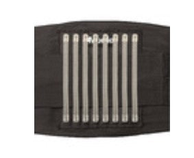 picture of the back brace itself