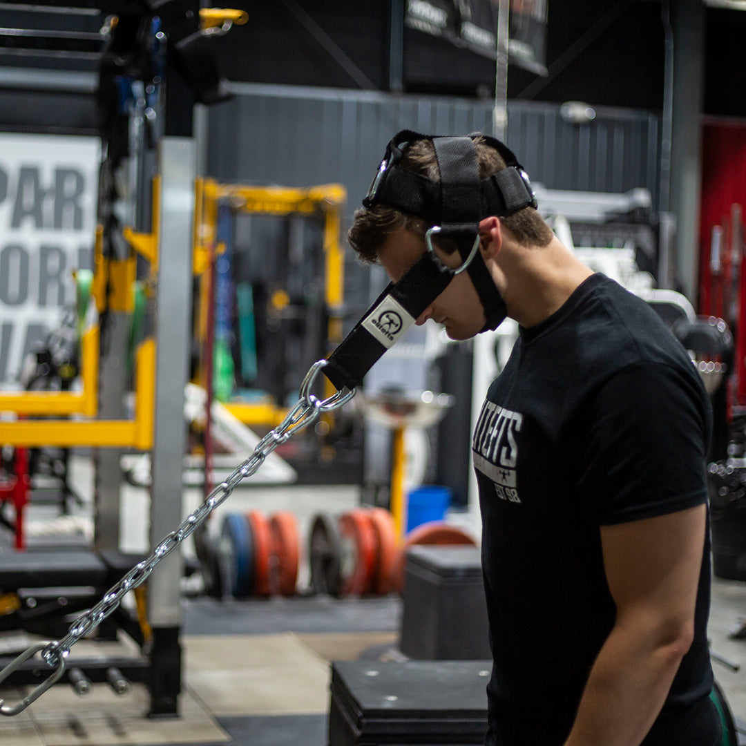 picture of deluxe padded head harness in use