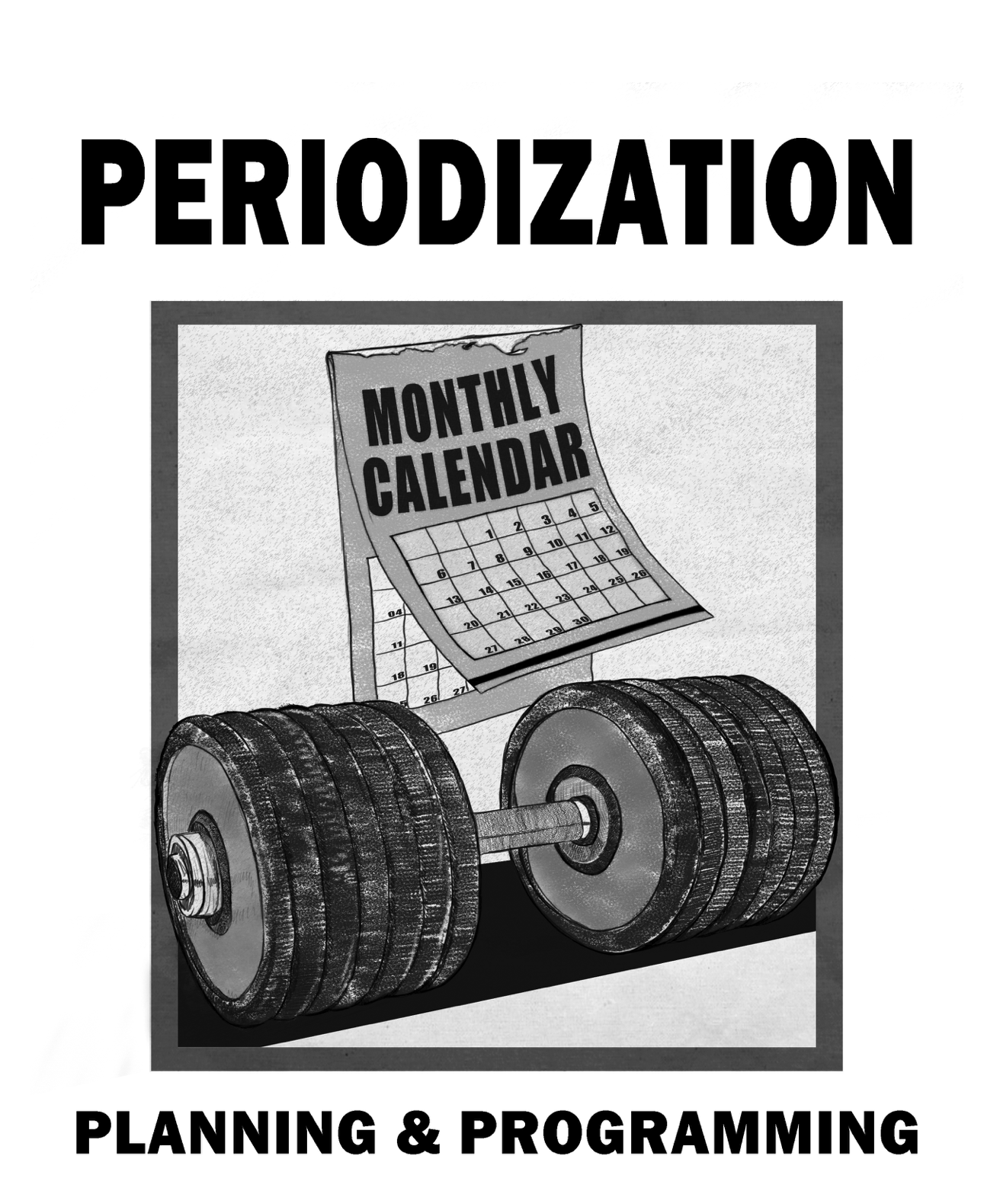 PERIODIZATION PLANNING AND PROGRAMMING 