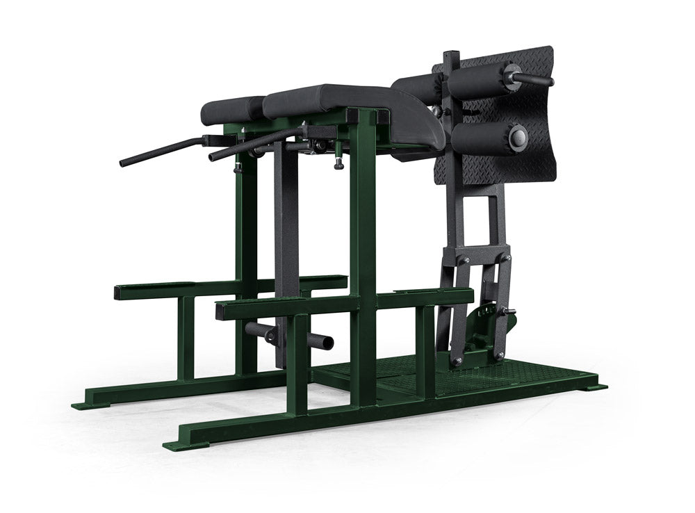 elitefts Posterior Chain Developer