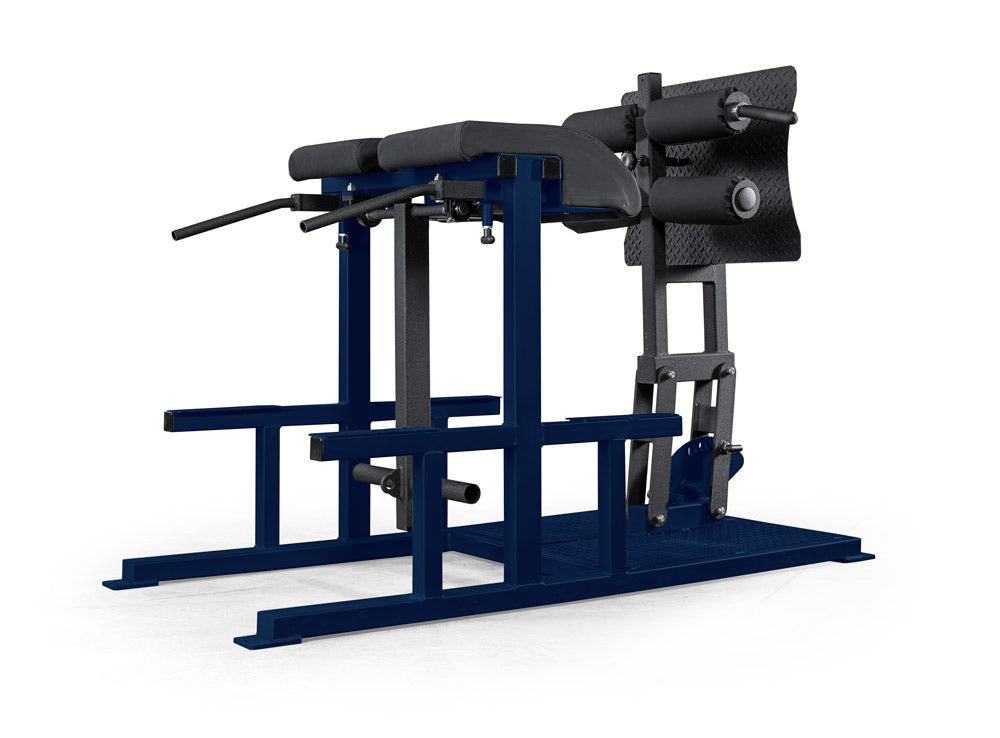 elitefts Posterior Chain Developer