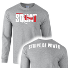 picture of elitefts Stripe of Power Long Sleeve T-Shirt grey