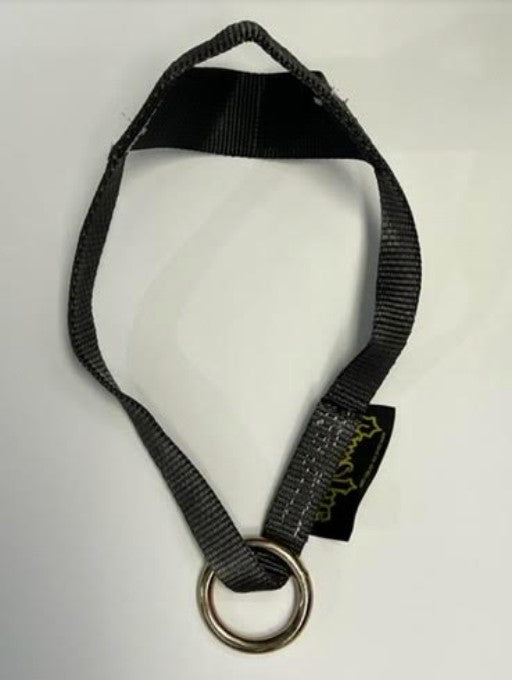 picture of spud hamstinger