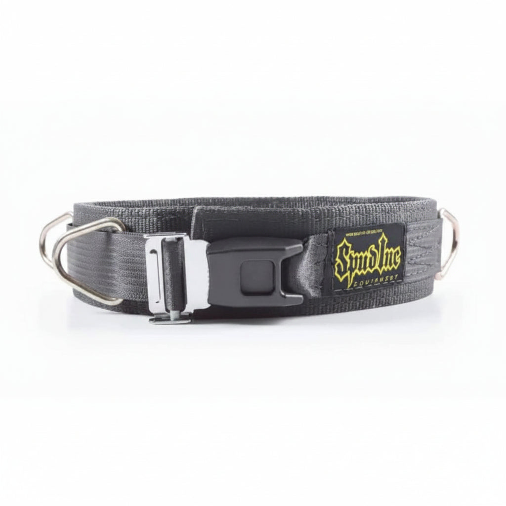 picture of Spud Speedster's Agility Belt