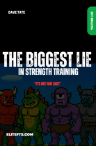 The biggest lie ebook 