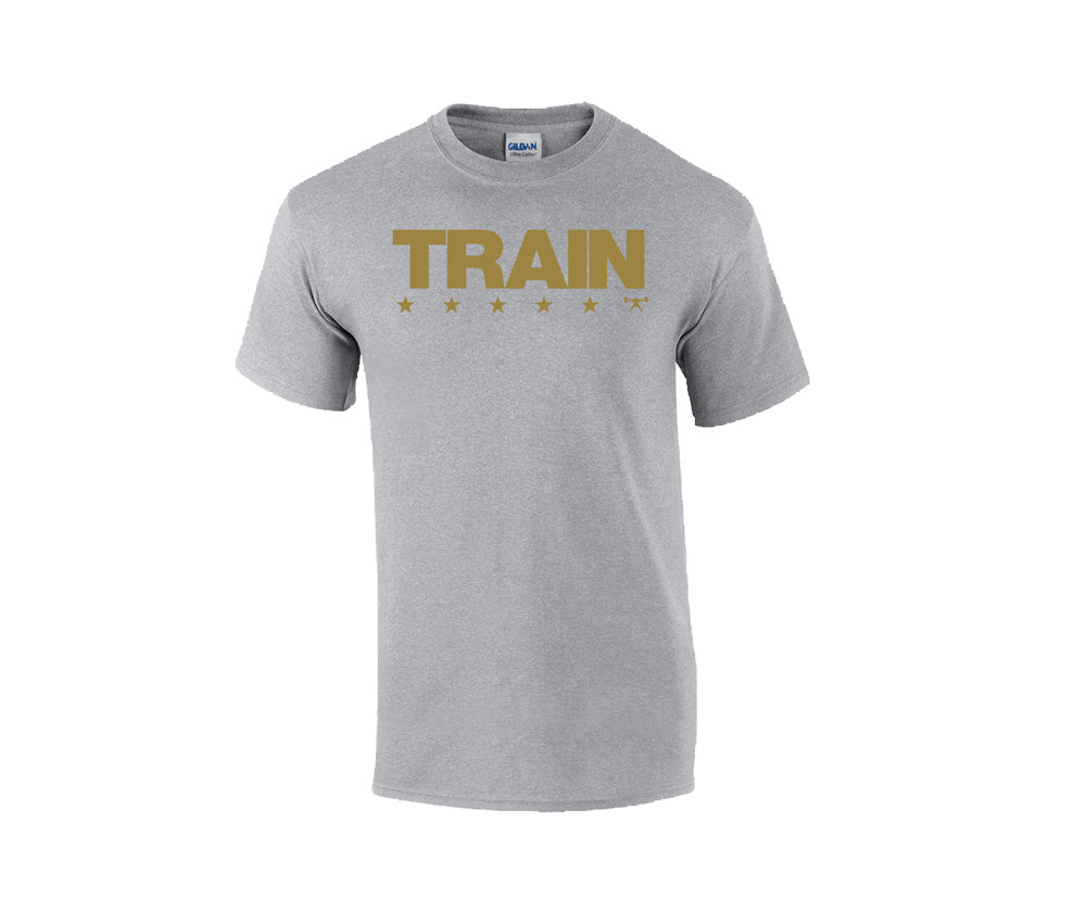 elitefts Train Stars T-Shirt grey