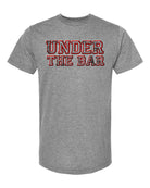 elitefts Under the Bar Premium T-Shirt grey