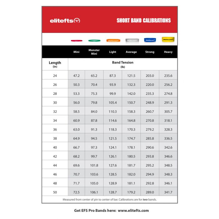 elitefts Pro Short Average Resistance Band