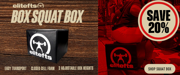 elitefts squat box sale