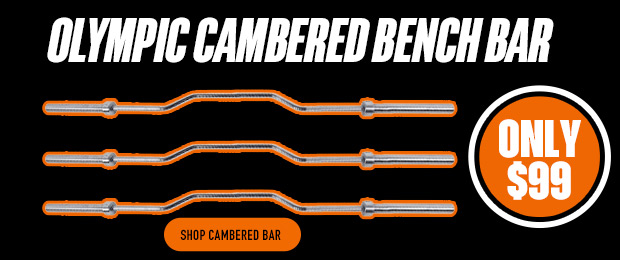 cambered bench bar sale