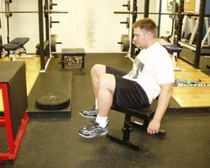 Dynamic Effort Lower: Final Day of Box Jumps, and Extra Leg Work