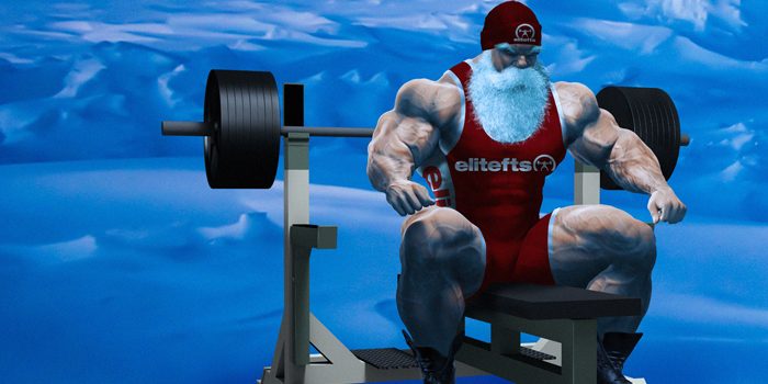 The Powerlifting for Bodybuilding Christmas Gift Guide - Elite FTS